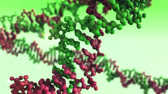 DNA分子模型视频素材