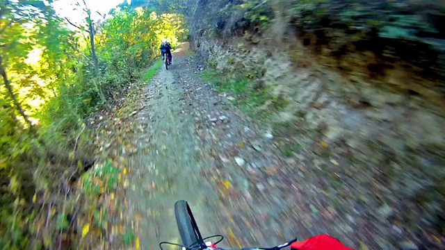 山地自行车视频:森林中的单轨视频素材