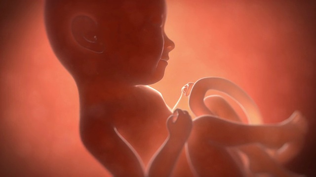 九个月大的胎儿视频素材