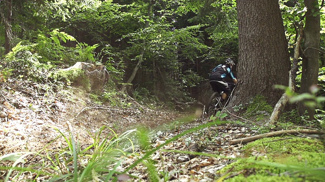 慢动作:骑自行车下山穿过树林视频素材