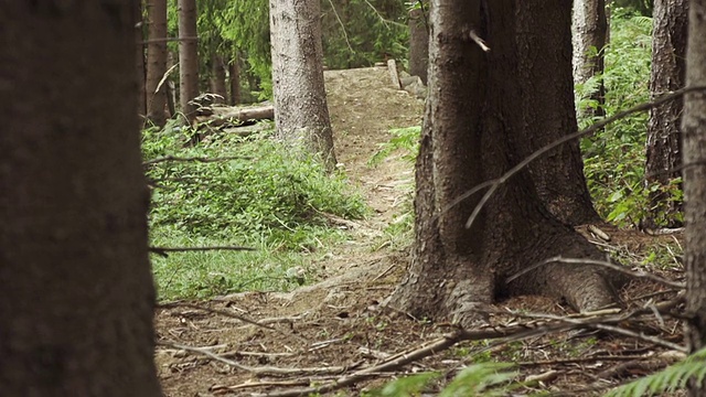 在森林里骑自行车下山视频素材