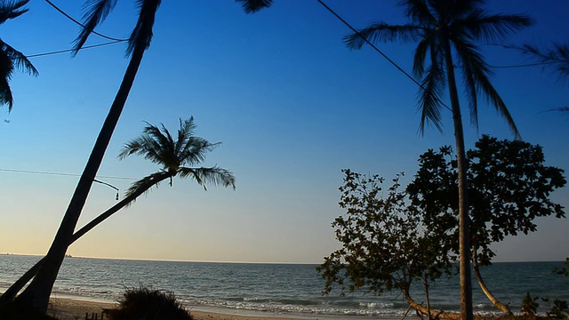 海滩上的椰子和蓝天视频素材