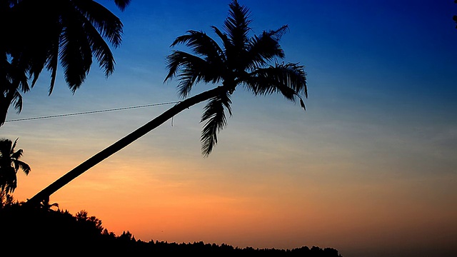 沙滩上的椰子树和日落视频素材