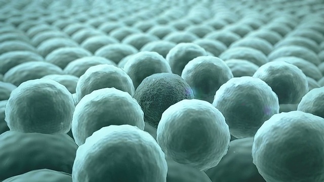 细胞分裂，癌细胞视频素材