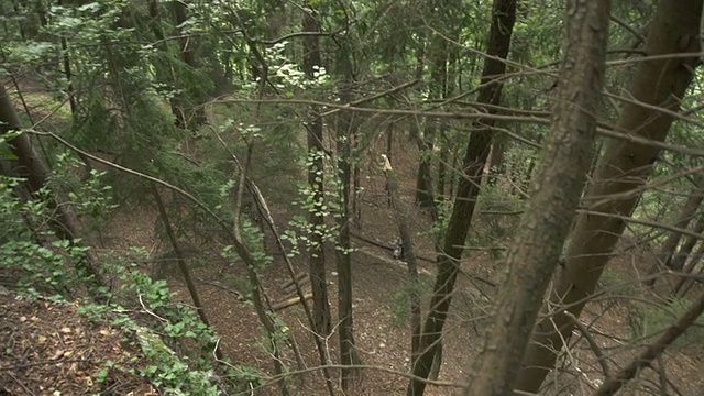 慢动作:骑自行车下坡穿过森林视频素材
