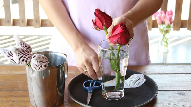 女人把刚摘下来的红玫瑰浸泡在花瓶里视频素材