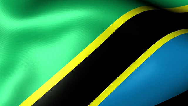 坦桑尼亚的旗帜视频素材