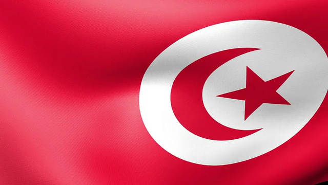 突尼斯国旗挥舞着视频素材
