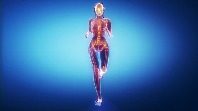 跑步女性骨骼扫描视频素材