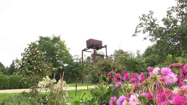 锈迹斑斑的水箱，用于花园中的植物花卉浇灌视频下载