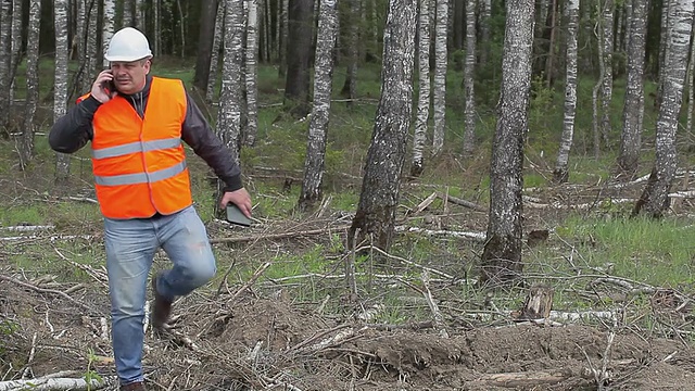 森林工程师与平板电脑附近的森林视频下载