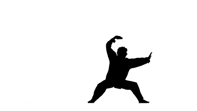 一个空手道或跆拳道穿着黑色和服在白色背景下剪影视频下载