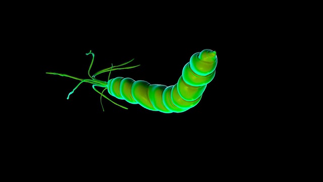 幽门螺杆菌菌视频素材