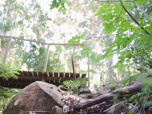 低角度的团队行走在森林中，穿过一座桥视频素材