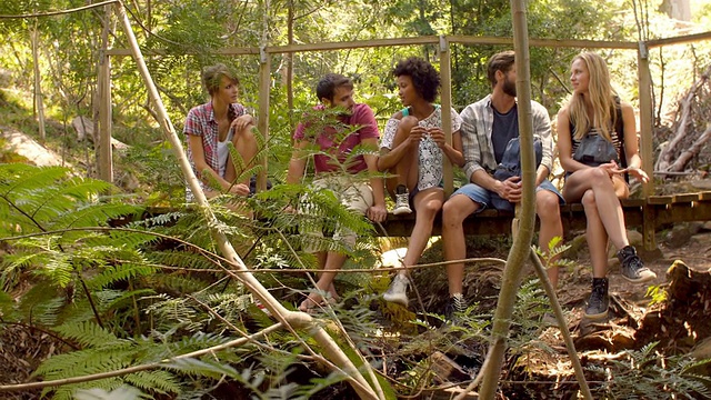 朋友们坐在森林里的小桥上，穿过树叶视频素材