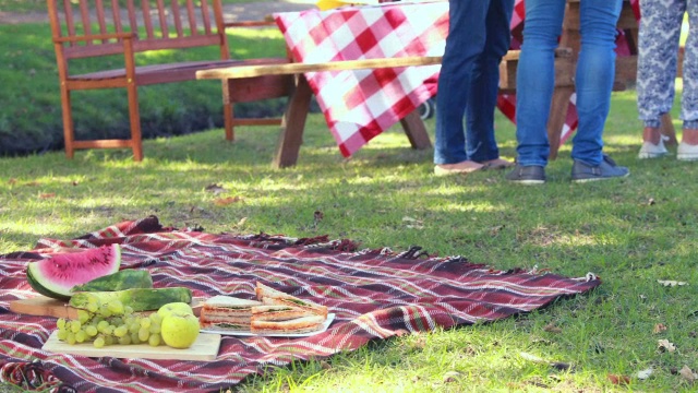 一家人在公园野餐视频下载