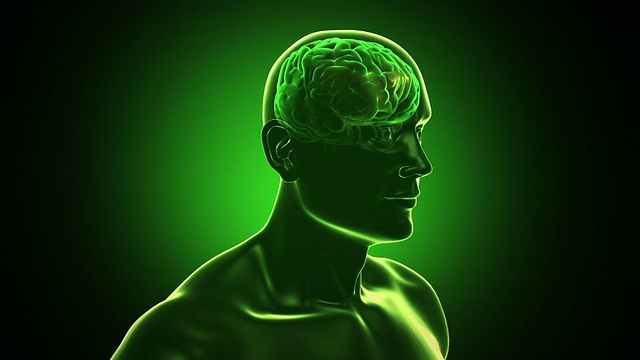 3D人体躯干与大脑和神经元闪烁。突触。Loopable。视频下载