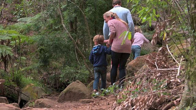 一对夫妇和孩子们在森林里走过木桥视频素材