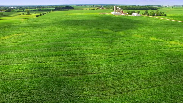 郁郁葱葱的绿色牧场，威斯康星州的玉米地，空中俯瞰视频素材