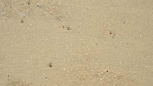 一个人光着脚走在沙滩上，从上面看视频下载