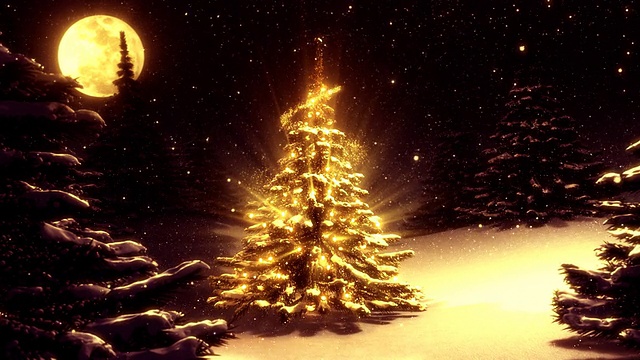 温暖的冬季景观与圣诞树装饰的北极星。视频素材