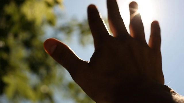 阳光透过手指的手掌视频下载