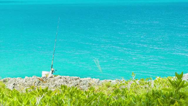 在阳光明媚的日子里，一个人把鱼竿伸进热带水域视频下载