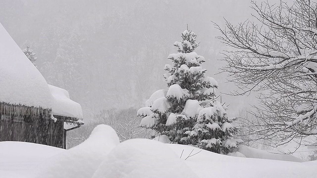 冬季景观,日本富山视频素材