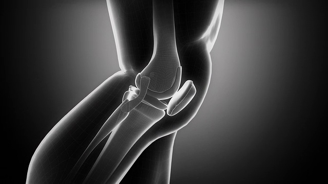 膝关节解剖循环x光视频素材