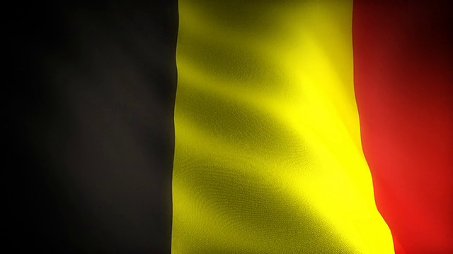 比利时国旗(无缝)视频素材
