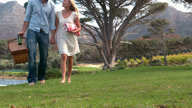 一对快乐的夫妇带着野餐篮慢镜头走着视频下载