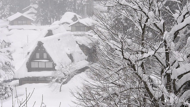 日本富山村的冬季景观视频素材