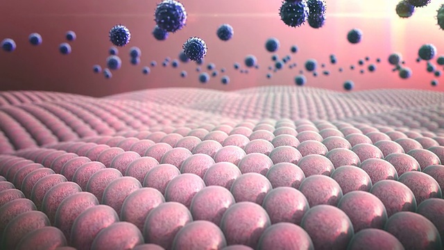 细胞,巨噬细胞视频下载