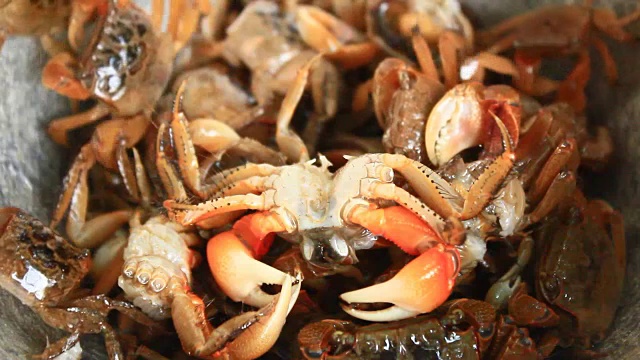 用研钵、杵加工虾蟹类食品视频素材