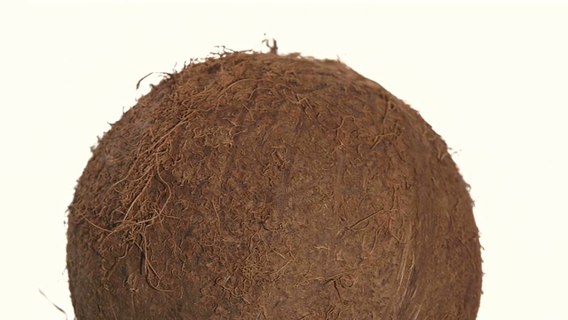 椰子顶部孤立在白色，旋转视频素材