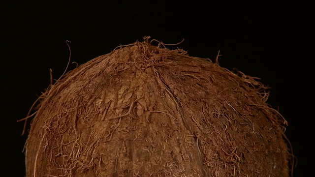 椰子顶部孤立在黑色，旋转视频素材