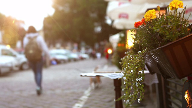 一幅咖啡馆露台上的鲜花静物画和一个女人牵着她的狗散步视频素材