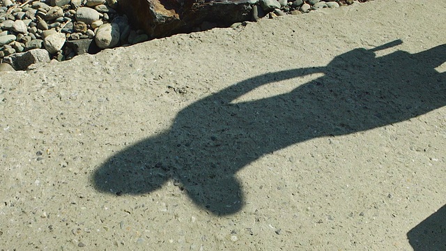 一个女孩的影子在石头上视频下载