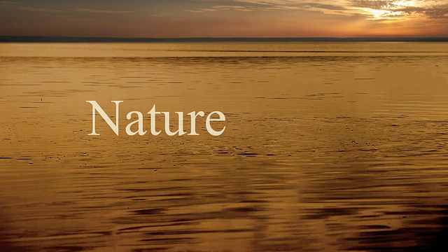 划船渔人药在自然字的框架视频下载