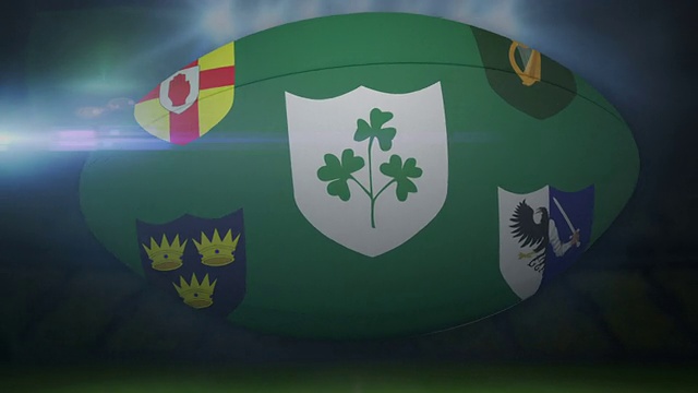 爱尔兰橄榄球在体育场与闪烁的灯光视频下载