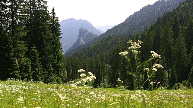 德国巴伐利亚阿尔卑斯山的山景视频下载