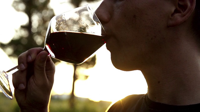 一个男人喝红酒的慢镜头视频下载