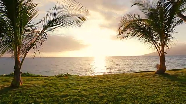 日落时分的吊床和棕榈树。后院海滨房地产。毛伊岛视频素材