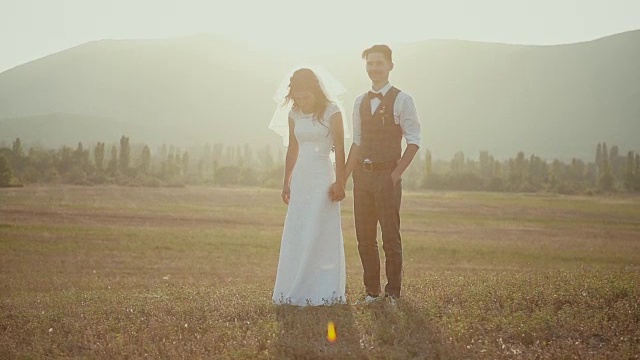 新郎和新娘手牵着手在黄昏的薄雾背景下的田野里。视频素材