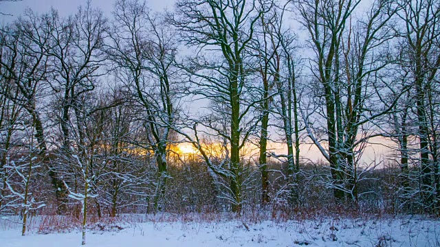 冬日森林里的日落，延时拍摄视频素材