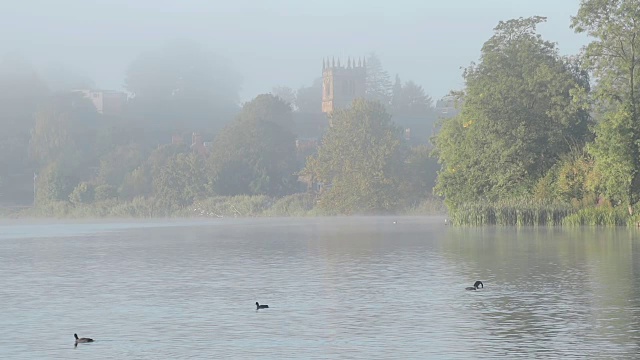通过清晨的薄雾在一个美丽的湖视频下载