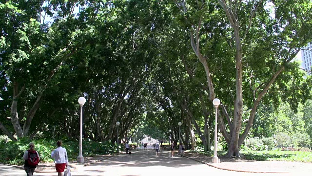 人们在悉尼海德公园散步视频下载