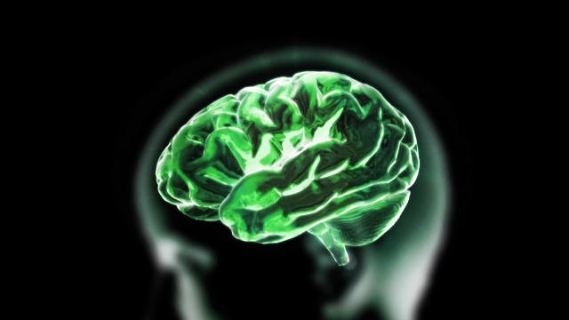 绿色的大脑放大成细胞视频下载