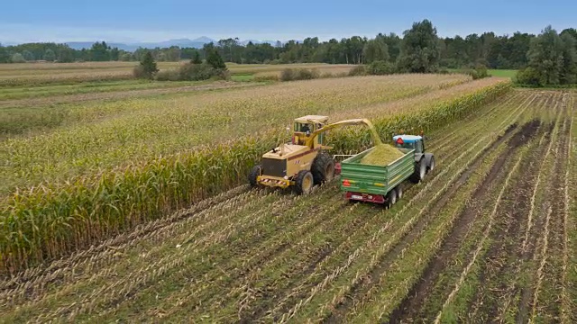 4K天线:玉米青贮收获视频素材