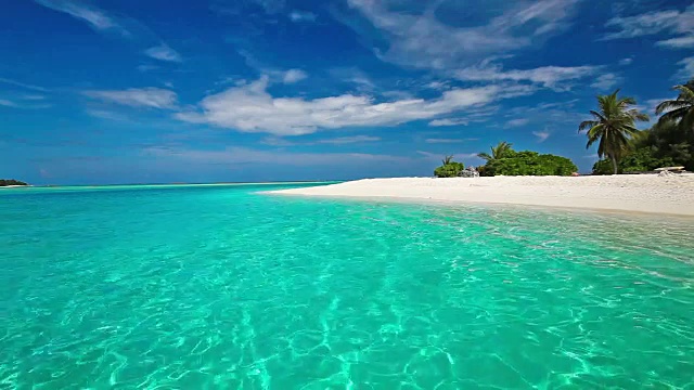 热带泻湖上的棕榈树和马尔代夫的白色沙滩视频素材